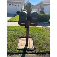 Timber Greens- Double