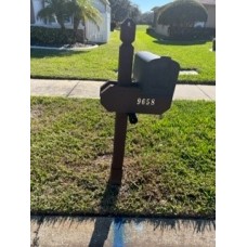 Timber Green- Single